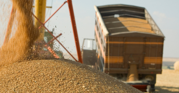Grain Home Banner